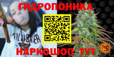 альфа пвп Гай