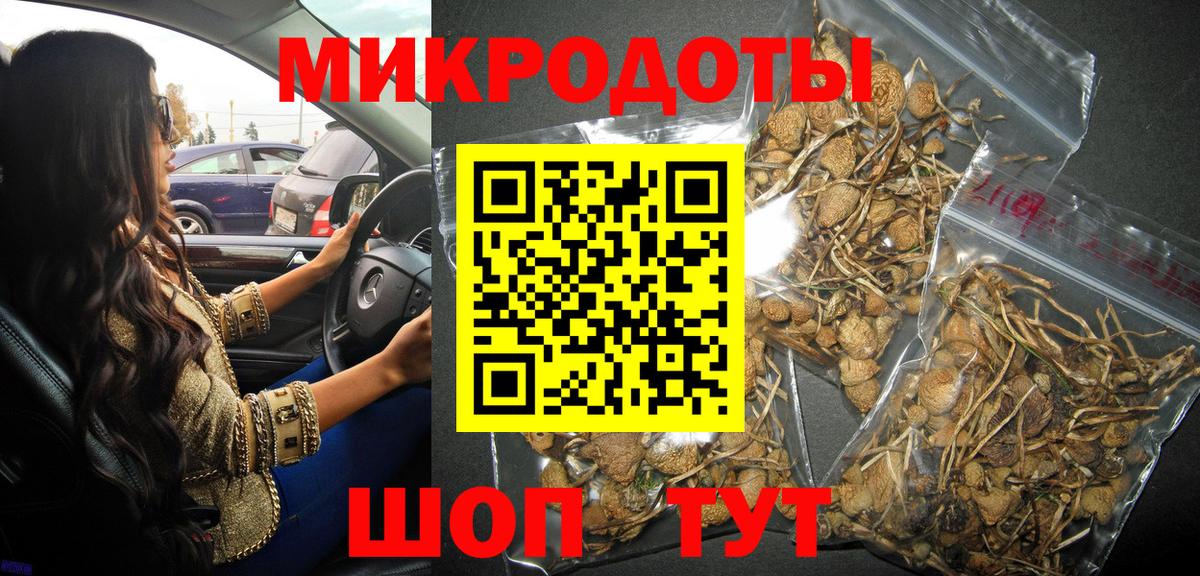 где можно купить   Псилоцибиновые грибы Psilocybine cubensis  Вход с VPN  Балахна 
