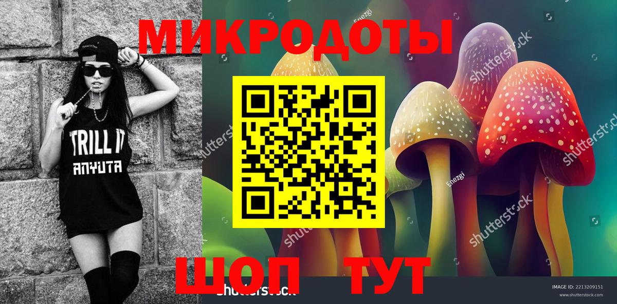 Псилоцибиновые грибы Psilocybine cubensis Балахна